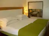 Classic Twin room with pool view