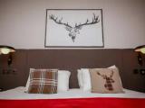 Executive with bunk bed Family room