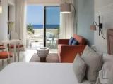 Deluxe Premium room