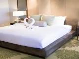 Presidential Double Suite