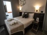 Standard Double room with garden view