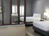 1 room Patio Quadruple Suite