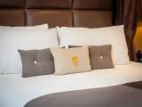 1 Bedroom Deluxe Single Suite