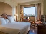 Premier Double room with Giralda View