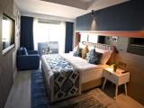 Superior Standard Accessible Double room