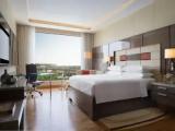 1 Bedroom Executive Executive lounge access Double Suite with city view
