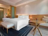 1 Bedroom Executive Lounge Access Double Suite with city view