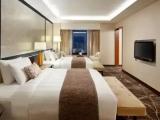 Presidential Double Club Suite