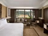 Superior Family Combo room