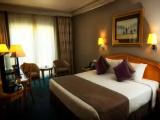 Superior Double room with pool view