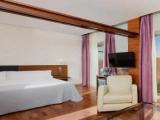 With Terrace Double Junior Suite