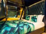 Flamingo Suite