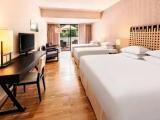 Aegean Suite with balcony and with sea view