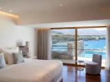 1 Bedroom Presidential Double Villa