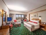 Double Nile View Junior Suite with city view