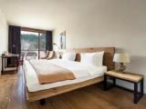 Standard Double room with forest view