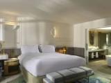 Opera with balcony or terrace Double Suite with ocean view