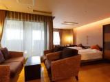 Deluxe Japanese Western Style room