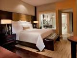 Large Executive Lounge Access Double room