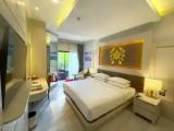Deluxe Premium Double room with balcony and with pool view
