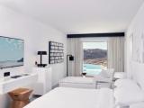 Executive Double Suite