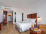 Deluxe Double room with garden view