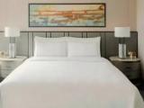 Presidential Double Suite