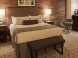 Executive Double Junior Suite