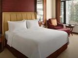 Executive Interconnecting room