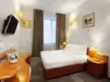 Standard Double room with park view
