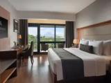 Executive Double Suite
