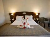 Standard Double room with garden view