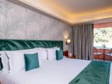 Premium Double room with pool view