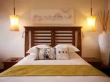 Deluxe Double room beachfront