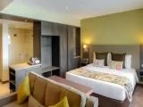 Executive Suite with view