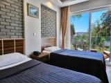 Standard Twin room with land view