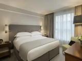 Executive Regency Double Suite