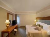 Deluxe Family Double Suite