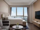 Presidential Double Suite