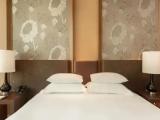 Superior Sky Double room