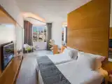 Superior Double room with pool view