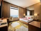 Executive Double Suite