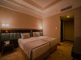 Standard Twin room with land view