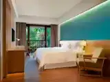 Deluxe Premier Tub Double room with balcony and with garden view