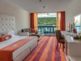 Superior Double room with balcony and with Resort View