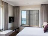 Executive Contemporary Suite