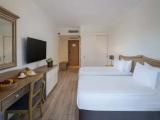 Accessible Double room with land view
