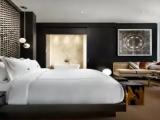 1 Bedroom The Bisha Presidential Double Suite with city view