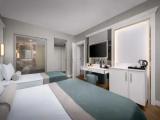 Deluxe Connection room with partial view