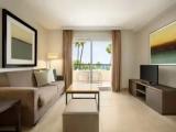 2 Bedrooms Superior Plus Apartment